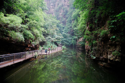 大峡谷旅游