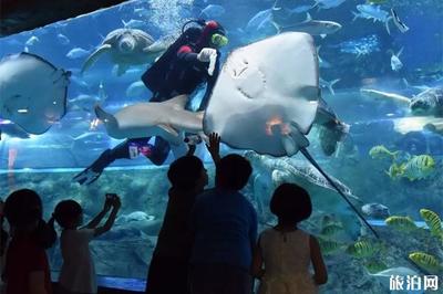 海底世界南京门票价格