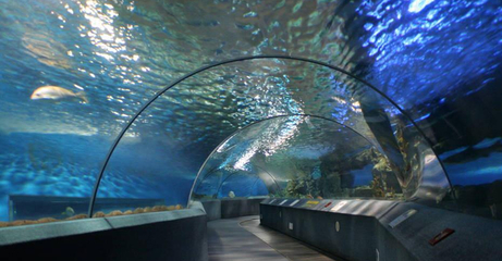 海底世界南京门票价格