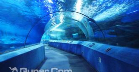 海底世界南京门票价格