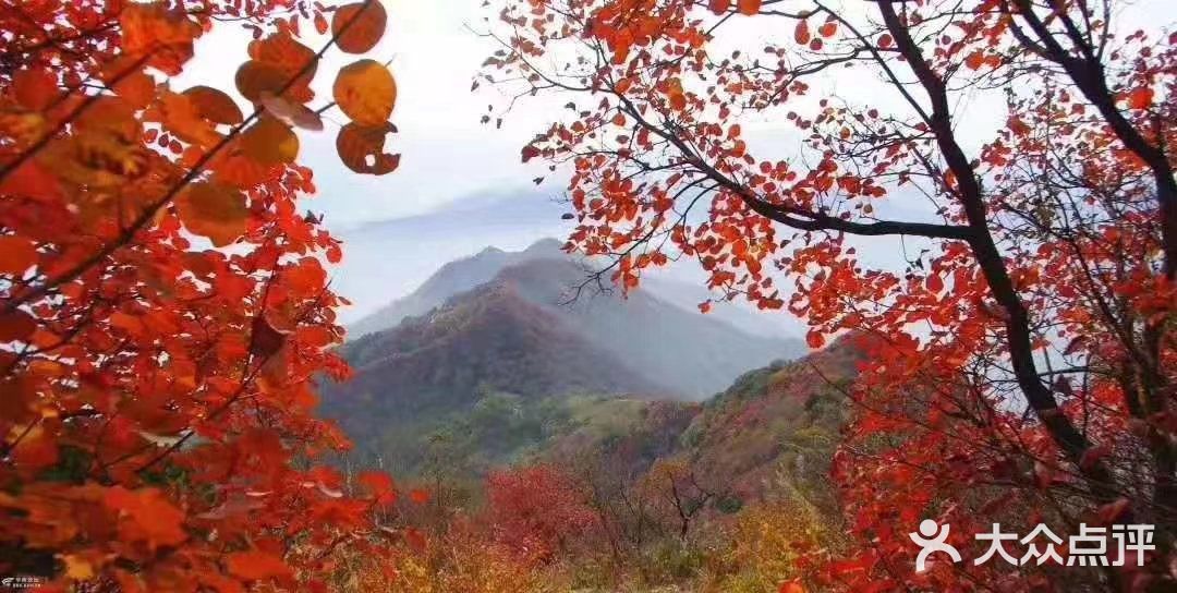 西安莲花山森林公园
