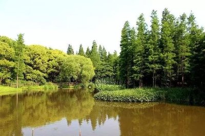 上海浦东森林公园