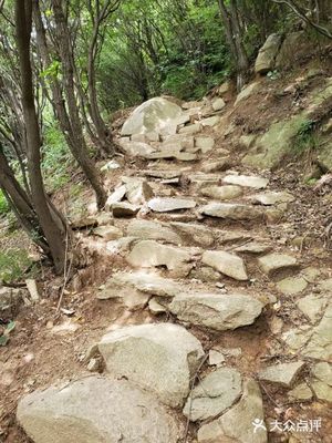 西安莲花山森林公园