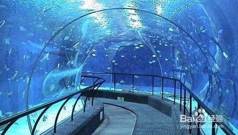 海底世界南京门票价格