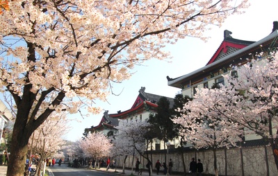 南京旅游住在哪里便宜又方便