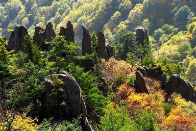 西安莲花山森林公园