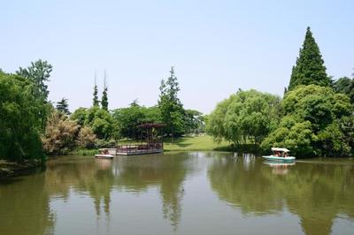上海浦东森林公园
