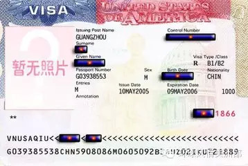 美国签证号码在哪里看