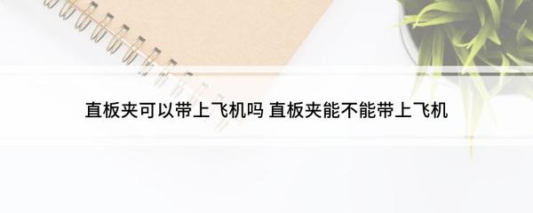 飞机可以带直板夹吗