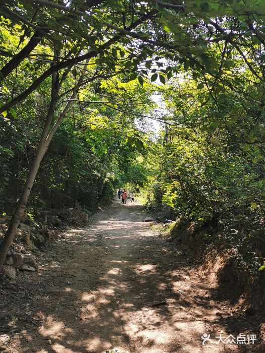 西安莲花山森林公园