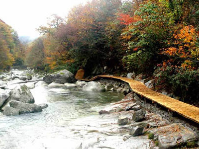 光雾山风景区旅游攻略