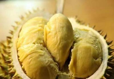 柬埔寨有什么好吃的