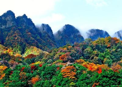光雾山风景区旅游攻略