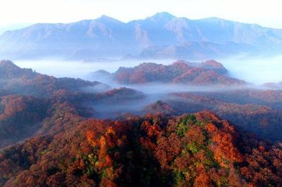 光雾山风景区旅游攻略