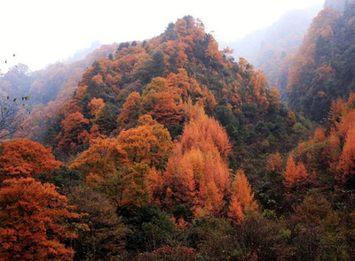 光雾山风景区旅游攻略