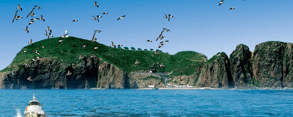 威海旅游景点门票