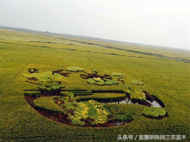盘锦红海滩附近住宿