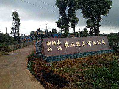 岳阳农家乐哪里最好