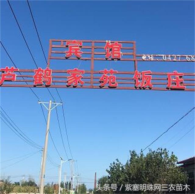 盘锦红海滩附近住宿