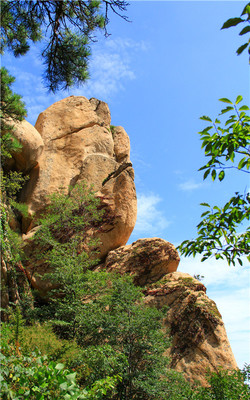 青岛平度茶山