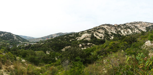 青岛平度茶山