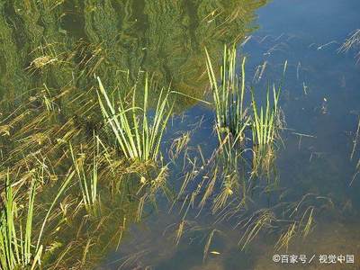 青岛今天几点落潮