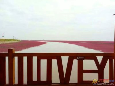 盘锦红海滩附近住宿