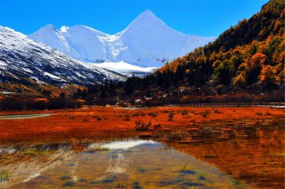 四川海螺沟旅游攻略