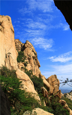 青岛平度茶山