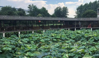 岳阳农家乐哪里最好