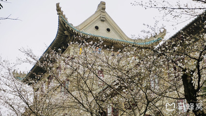 武汉古琴台在哪里