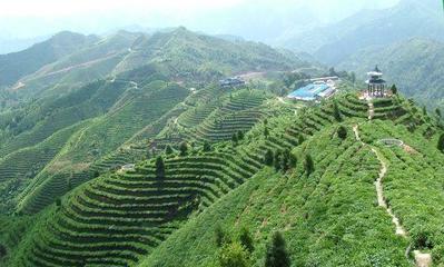 青岛平度茶山