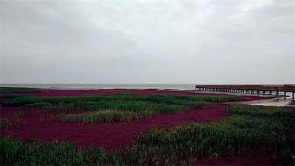 盘锦红海滩附近住宿
