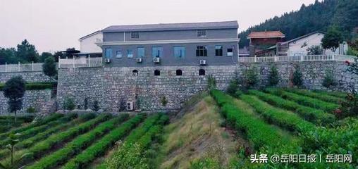 岳阳农家乐哪里最好