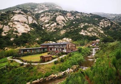 青岛平度茶山