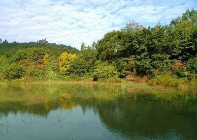 广州天河区一日游攻略