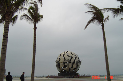 上海红树林