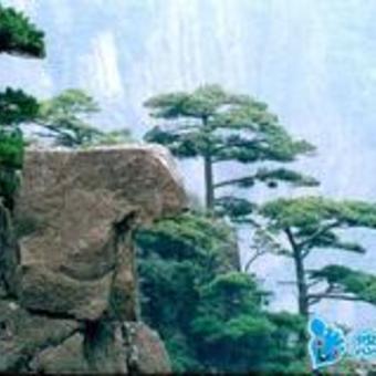 哈尔滨到黄山飞机