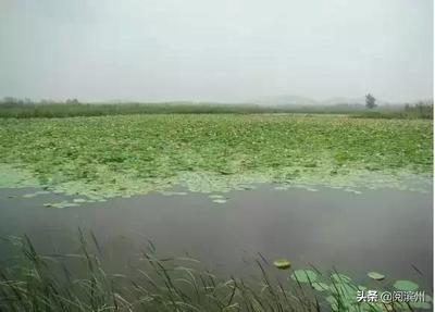 微山湖景点介绍