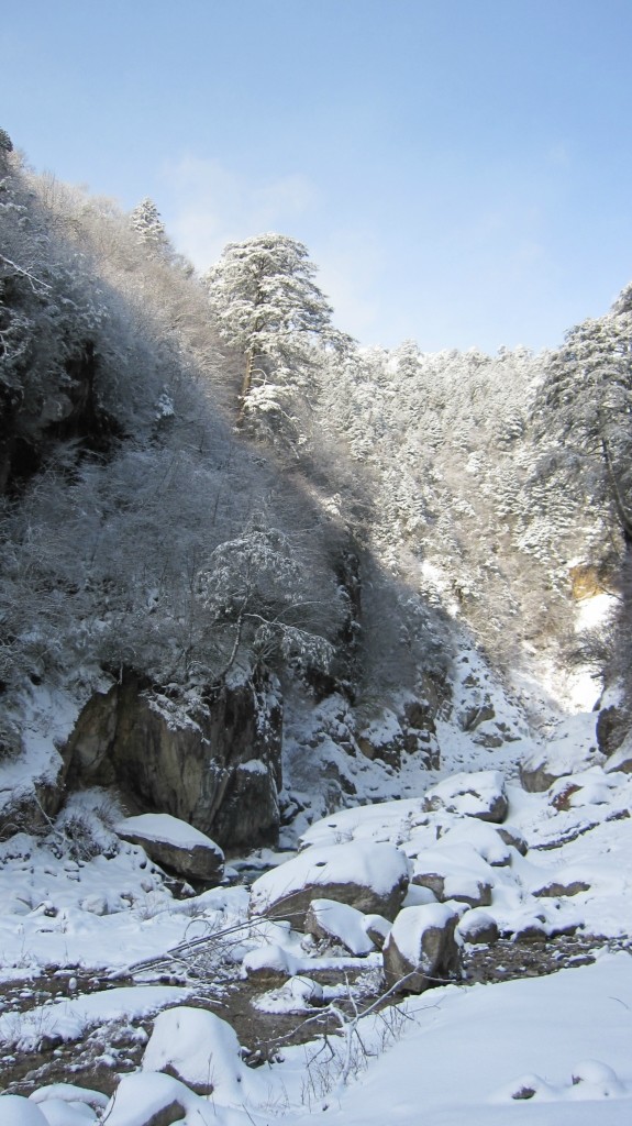 哈尔滨到黄山飞机