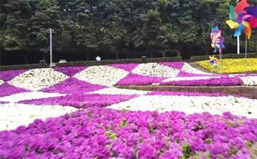 江津一日游景点介绍