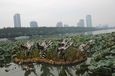 玄武湖公园旅游
