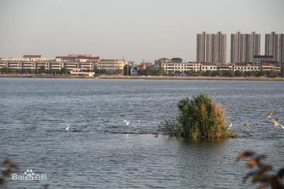 微山湖景点介绍