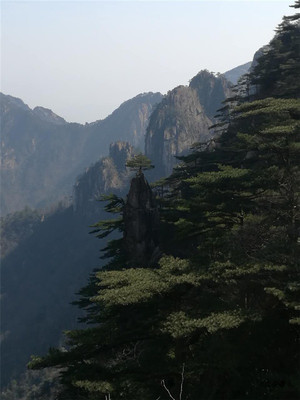 哈尔滨到黄山飞机
