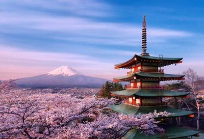 去日本旅游签证需要什么条件