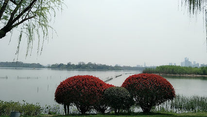 玄武湖公园旅游