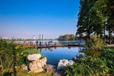 玄武湖公园旅游