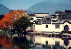 黄山婺源宏村旅游攻略