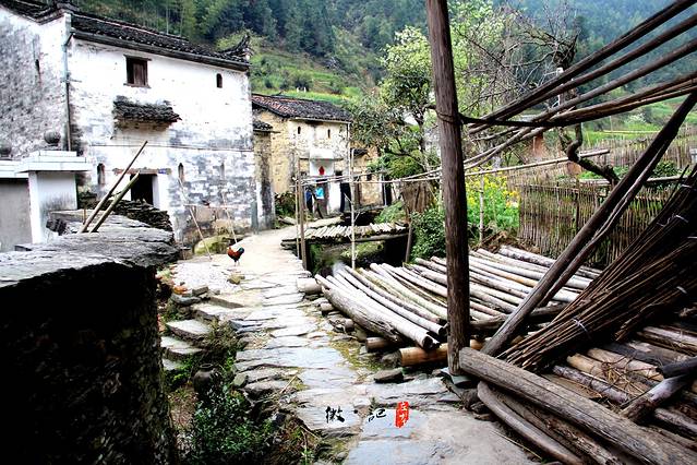 黄山婺源宏村旅游攻略