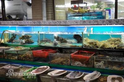 连云港海鲜哪里便宜